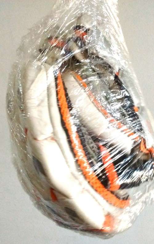 GM Cricket Gloves